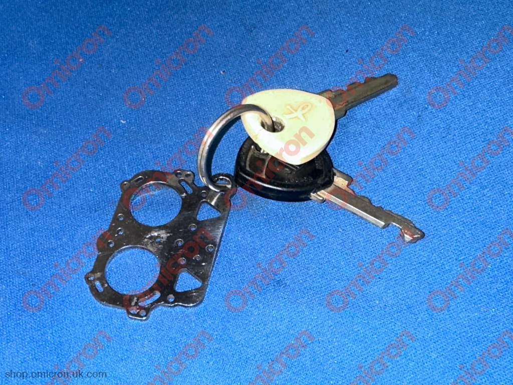 Flavia or Gamma head gasket keyring with ring - KEYRING