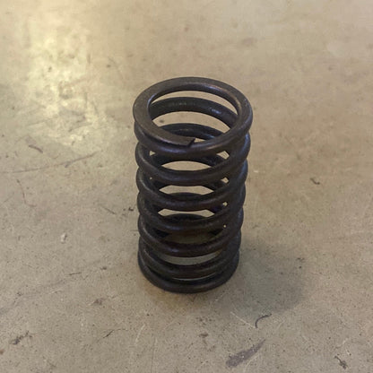 Aurelia B20 S4 valve springs