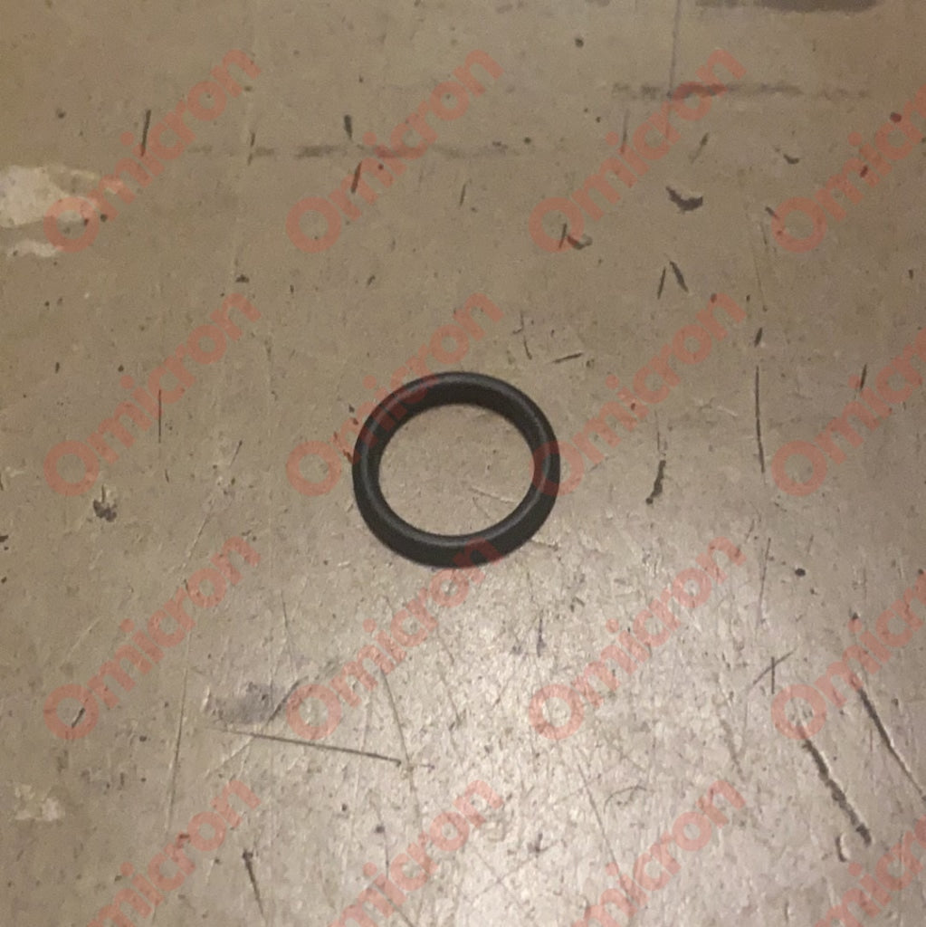 Water Pump O-Ring